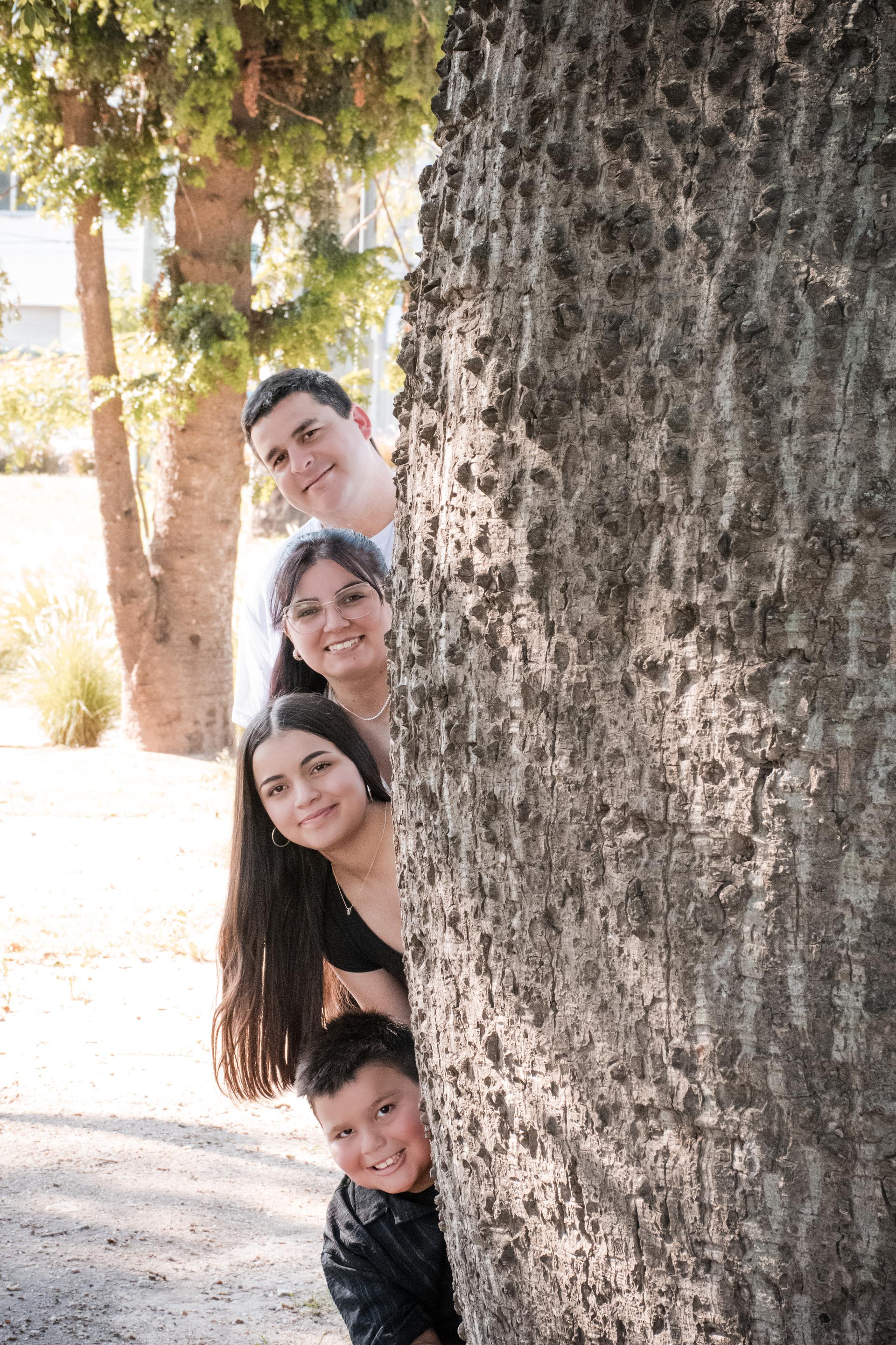 Familia árbol